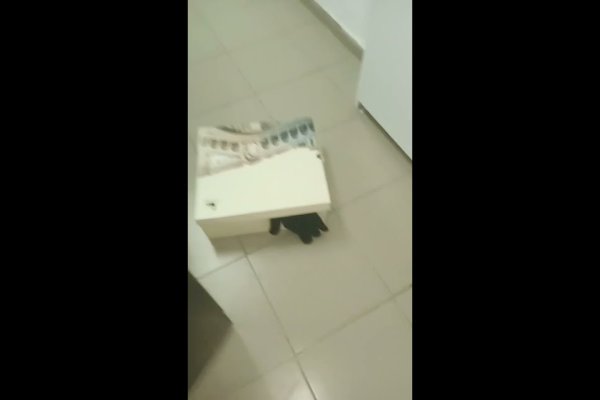 Кракен шоп нарк