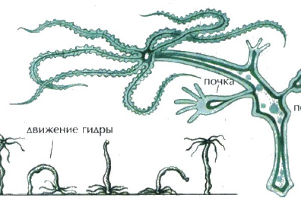 Кракен ссылка призыва нет