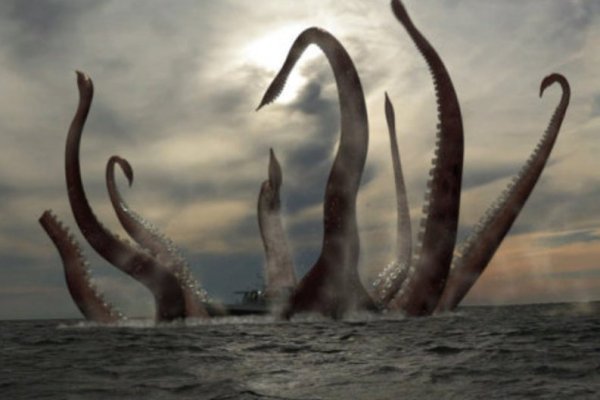 Kraken dark