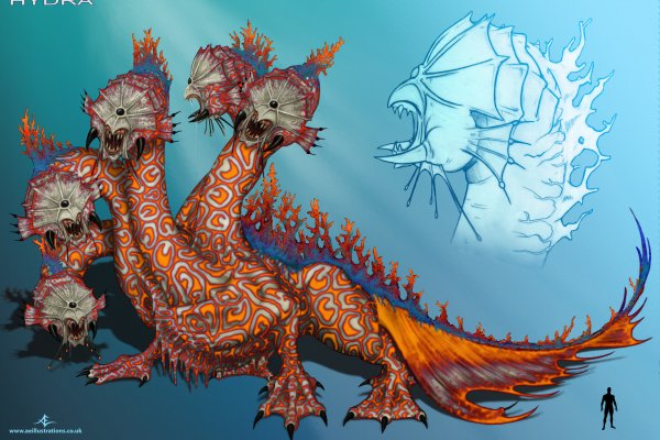 Kraken kraken link24 info