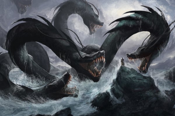Kraken cc