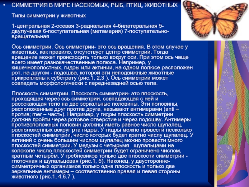 Кракен новый маркетплейс